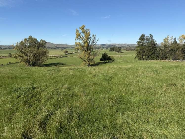 235 Te Ore Ore-Bideford Road Masterton_10
