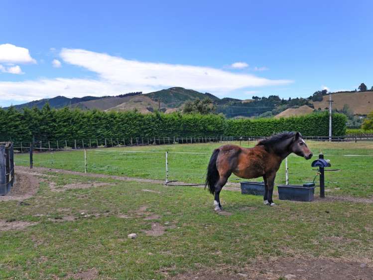 430 Paton Road Hope_18