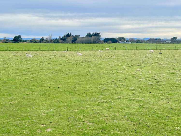 70 Woodlands Cemetery Road Woodlands_6