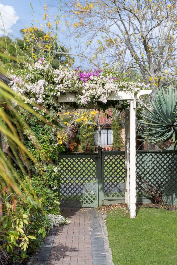 17 Lothian Brae Wattle Downs_24