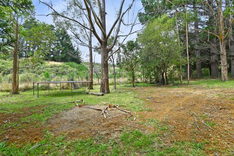 86d Kaitoke Loop Kaitoke_18