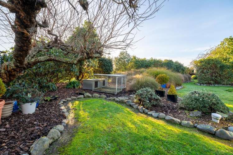 100 Oak Street Orari_20