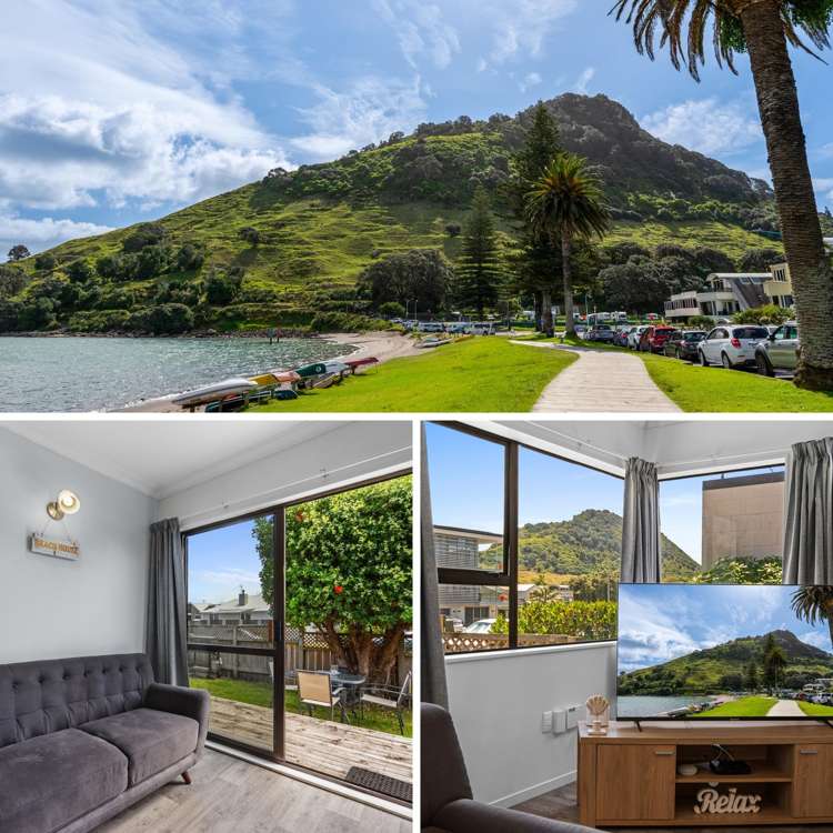 47a May Street Mount Maunganui_12