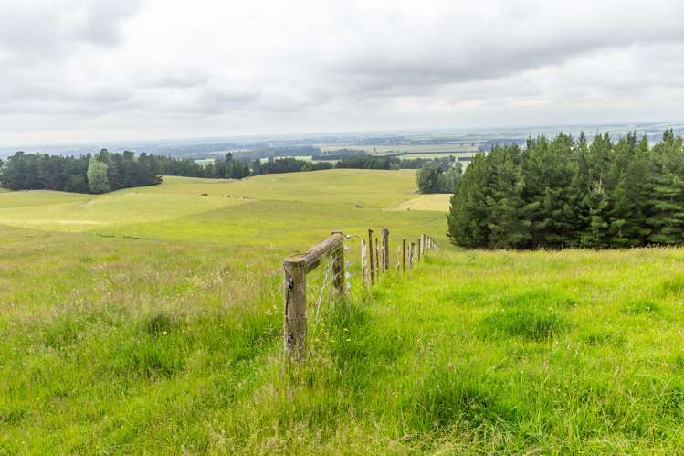 Steeles Road Hororata_14