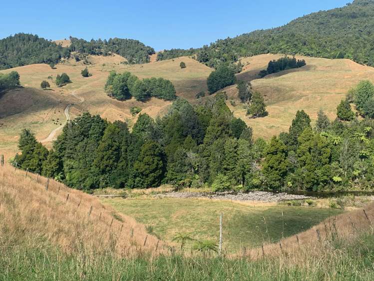 249 Franklin Road Waihi_5