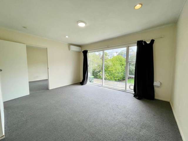 11/4 Tahora Avenue Remuera_2