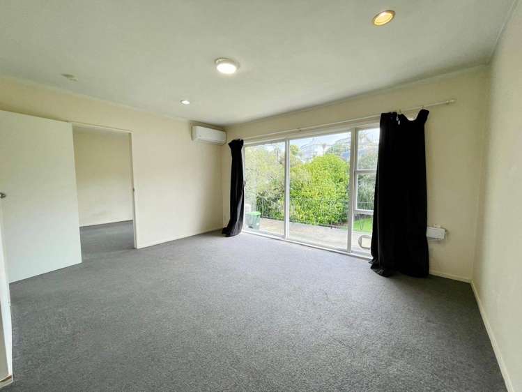 11/4 Tahora Avenue Remuera_2