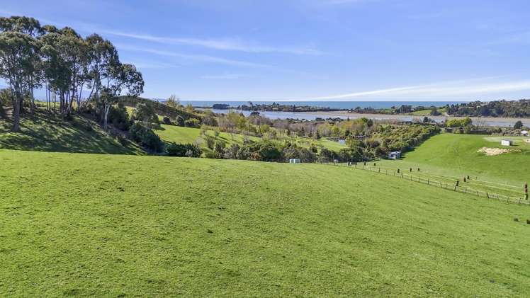 108 Harley Road Tasman_3