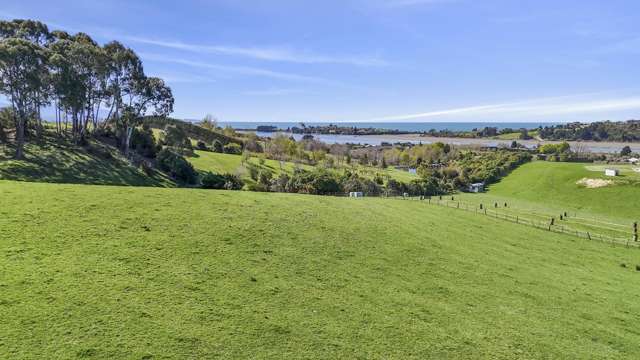 108 Harley Road Tasman_3