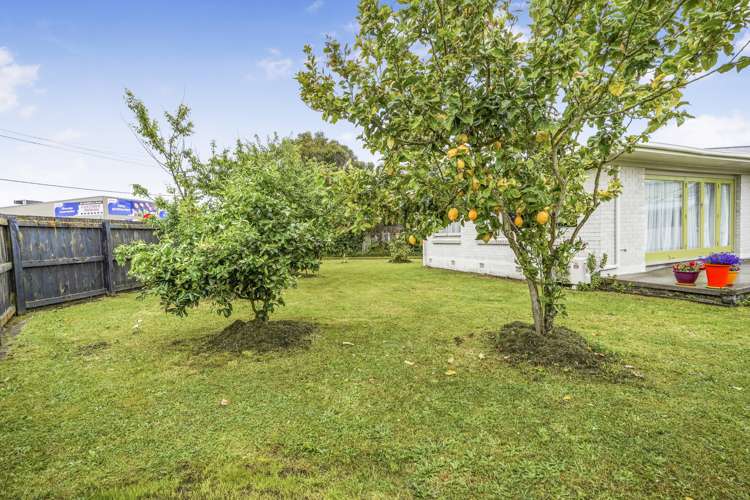 127 Silverdale Road Silverdale_15