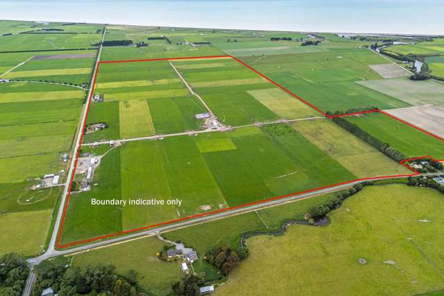 Mill Ford Dairy Farm - 127 Hectares