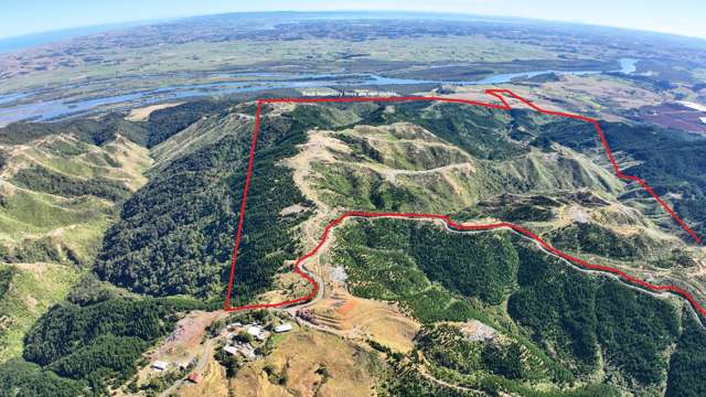 1036 Klondyke Road Port Waikato_1