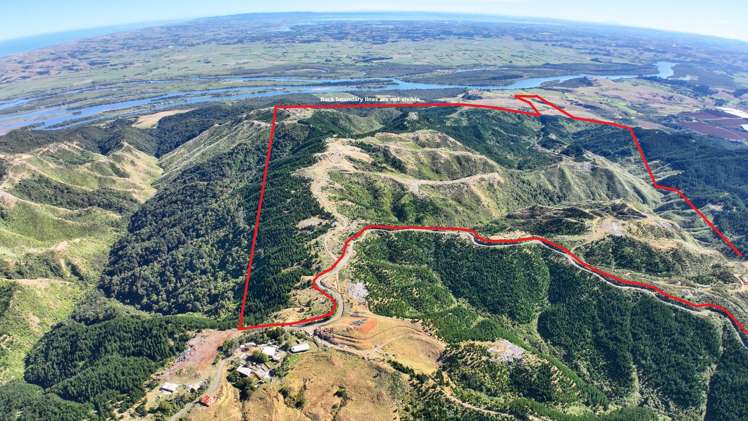 1036 Klondyke Road Port Waikato_1