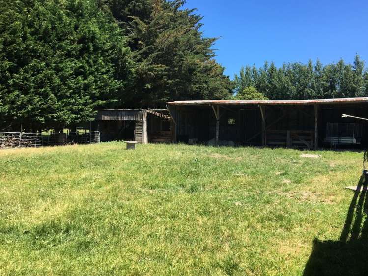 225 Upper Manaia Road Upper Plain_15