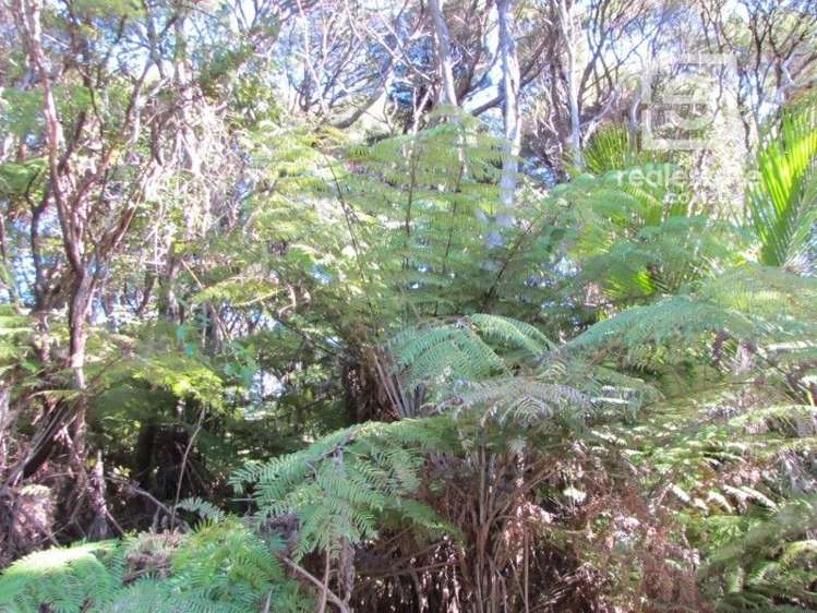 537B Tuateawa Road Tuateawa_5