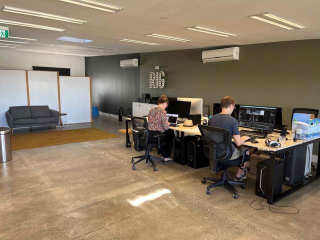 166 Richmond Road Grey Lynn_3