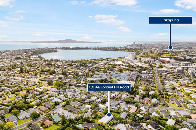 3/19a Forrest Hill Road Milford_17