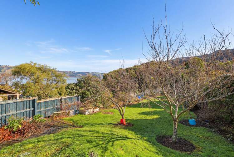 3A Weka Street Saint Leonards_12
