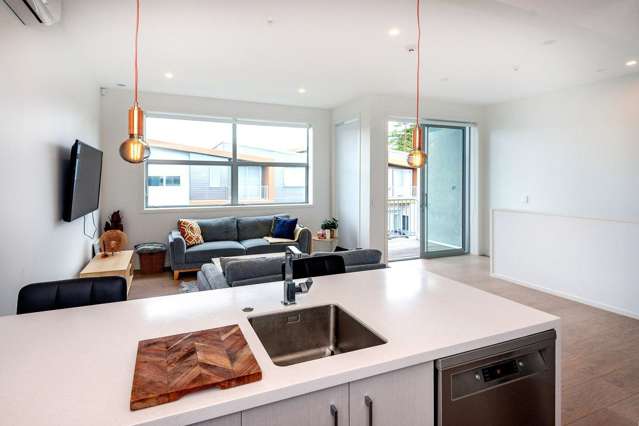 C4/18 Oteha Valley Road Extension Albany_2