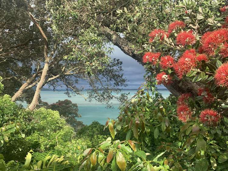 20 Moana Drive Tanners Point_25