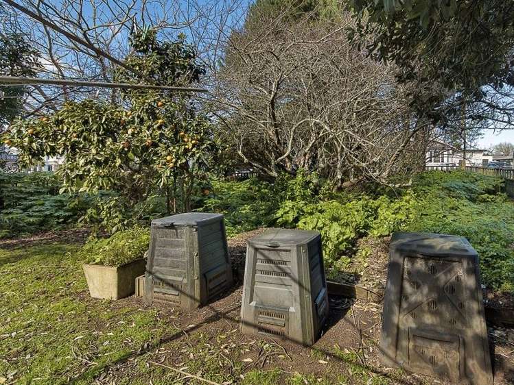 41 Tobin Street Pukekohe_4