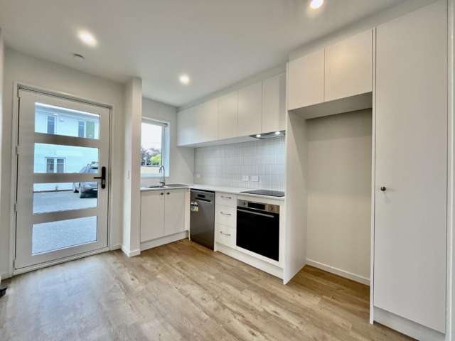 3/113 Poulson Street 1380_2