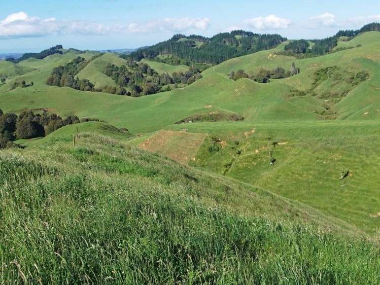 446 Stanley Road Te Popo_59