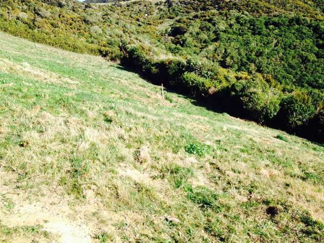 118 Downing Street Crofton Downs_3