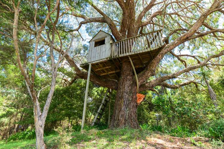 6 Shirley Road Parau_6