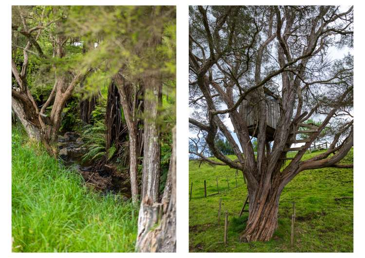 71 Mangotahi Road Thames_28