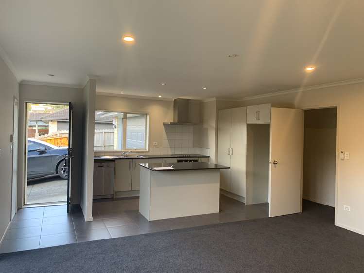 31 Willowgrange Place Pukekohe_0