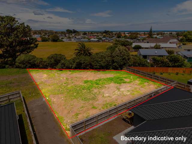 34A and 34B Tawhero Street Gonville_2