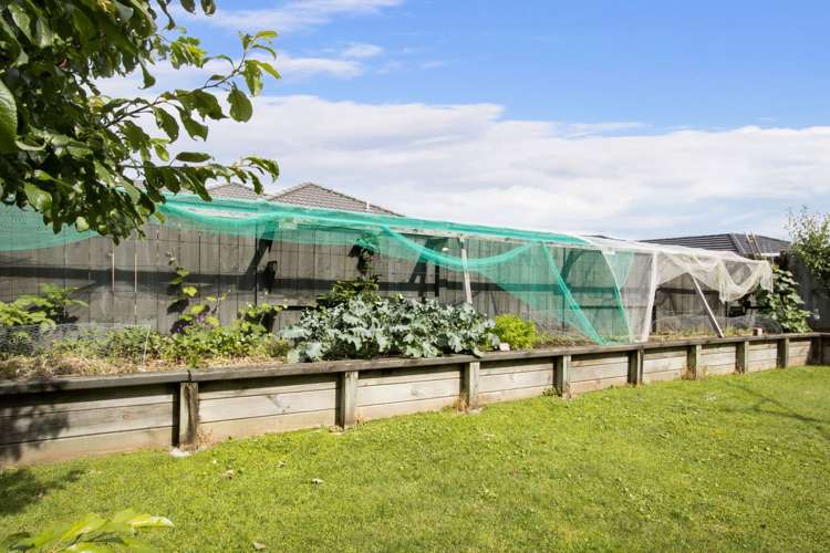 18 Middlebrook Drive Katikati_12
