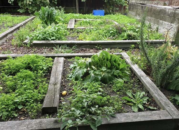 41 Owen Road Outer Kaiti_1