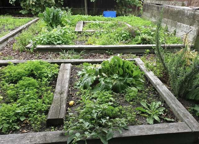 41 Owen Road Outer Kaiti_1