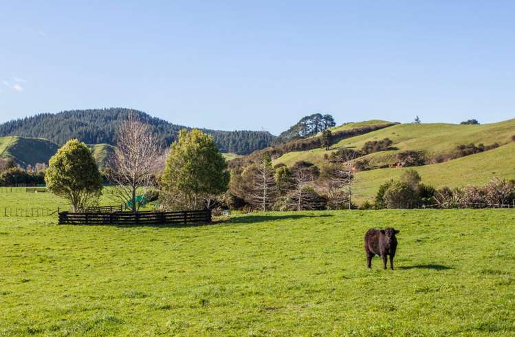 385 Wentworth Valley Road Whangamata_23