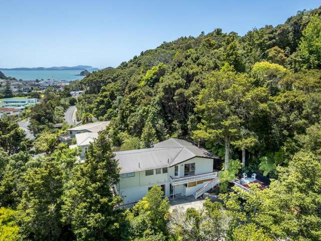 Spacious Home and a S/C Apartment in Central Paihia