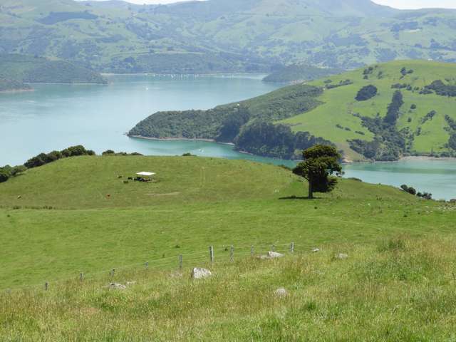 56 Stony Bay Road Akaroa_1