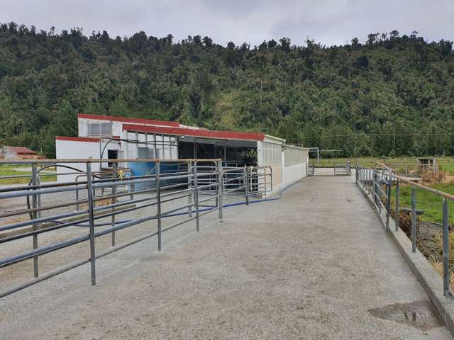 154-216 La Fontaine Road Hari Hari_2