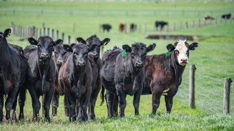 10 Chatterton Road Hanmer Springs_19