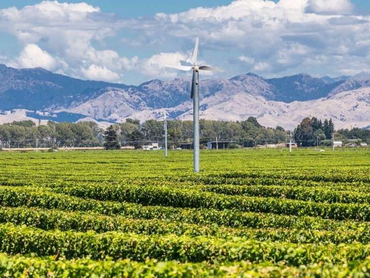 75 Pembers Road Tuamarina_9