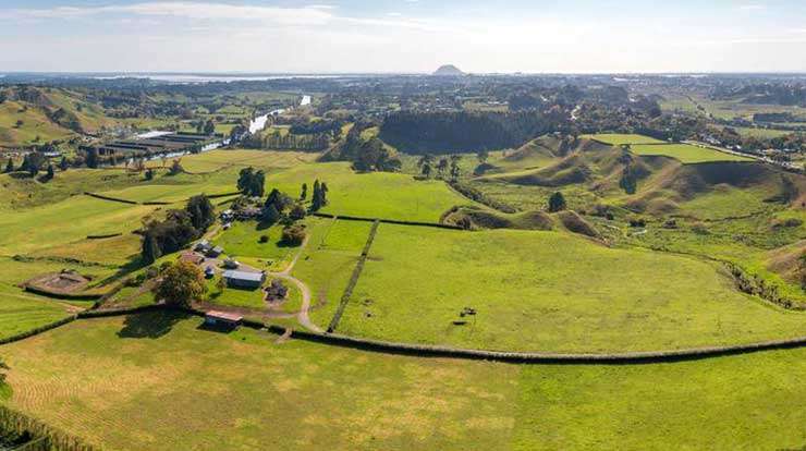 For sale Longburn Farm in Wainui, north of Auckland