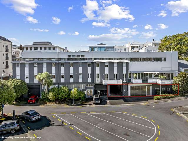 Parnell warehouse opportunity