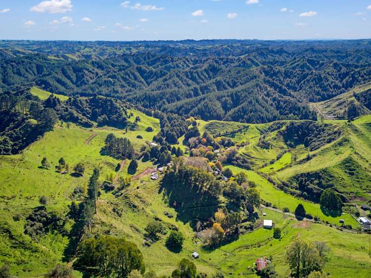 822 Motukawa Rd Inglewood_16