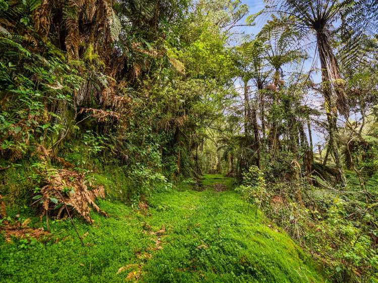 20 McLaren Falls Road Lower Kaimai_7