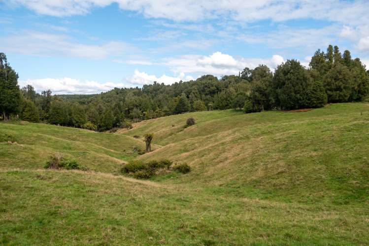 92 Lagoon Road Hamurana_13