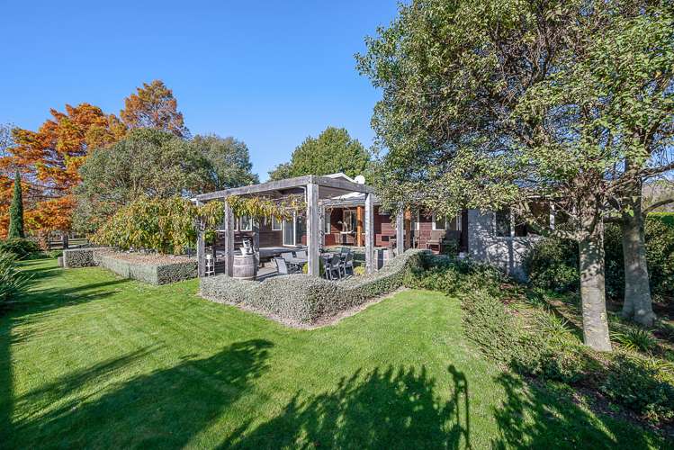 196 Oakwood Lane Witherlea_23