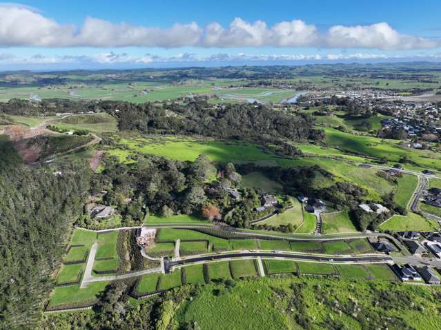 Where Dreams Come True