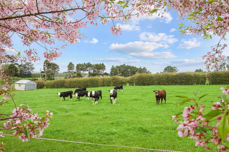 137 Hart Road Pukekohe_37