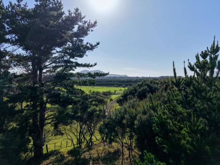 212C Whalers Road Pukenui_17